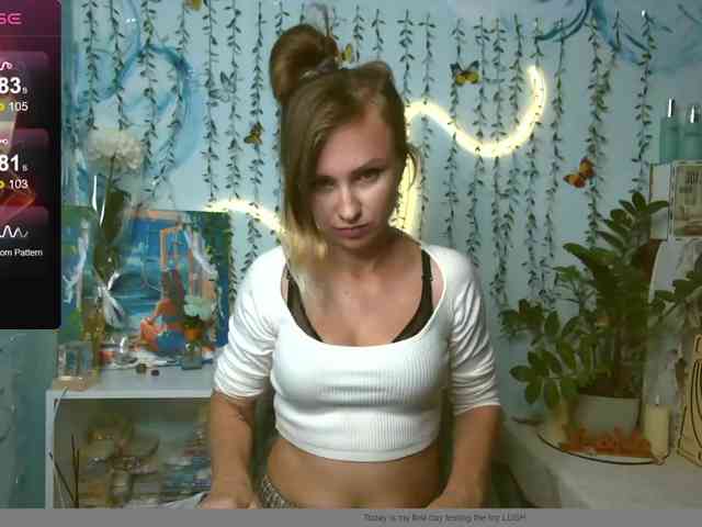 HarleyWid webcam