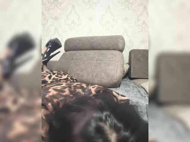 playfulKitty webcam