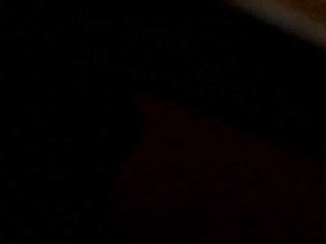 HornyCleo