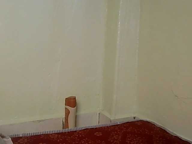 Preview of hornycleo