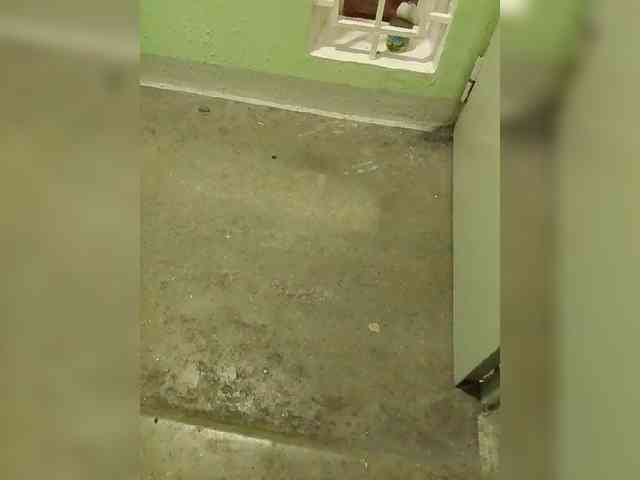 Degri311 Live Webcam on BongaCams