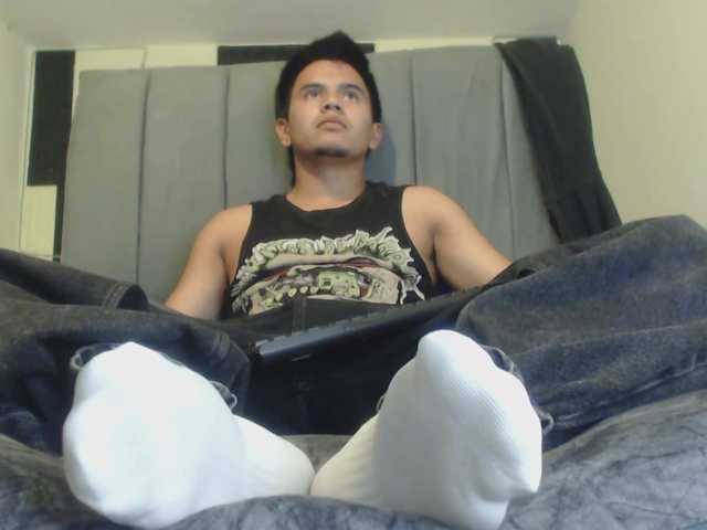 adonislatin19