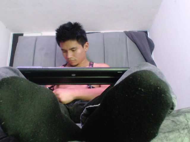 adonislatin19