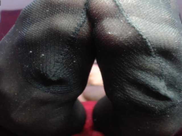 adonislatin19