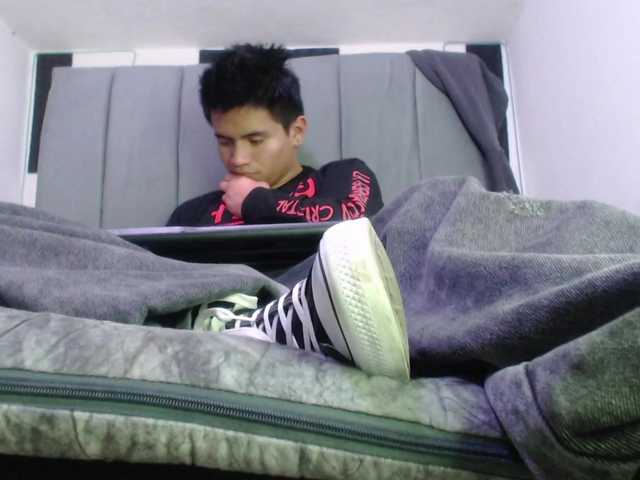 adonislatin19