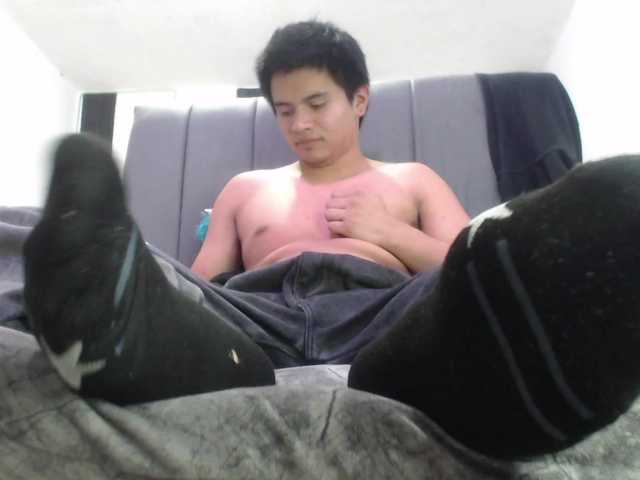adonislatin19
