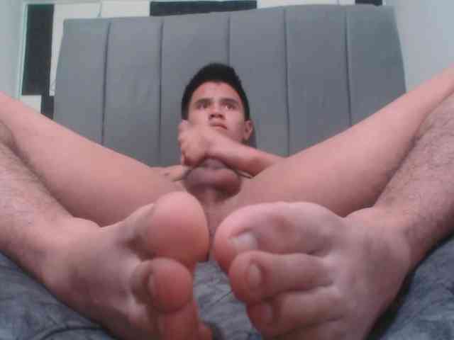 adonislatin19