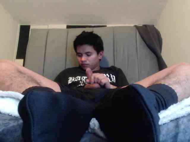 adonislatin19