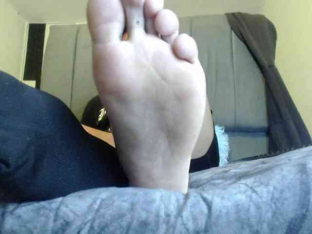 adonislatin19