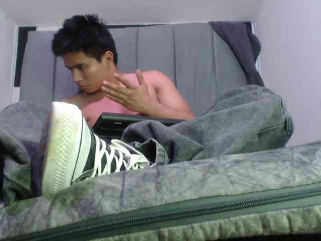 adonislatin19