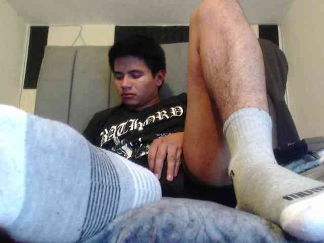 adonislatin19