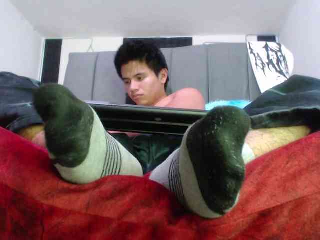 adonislatin19