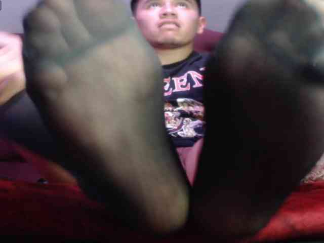 adonislatin19