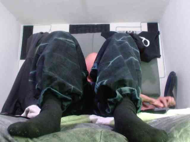 adonislatin19