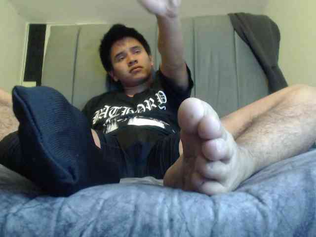 adonislatin19