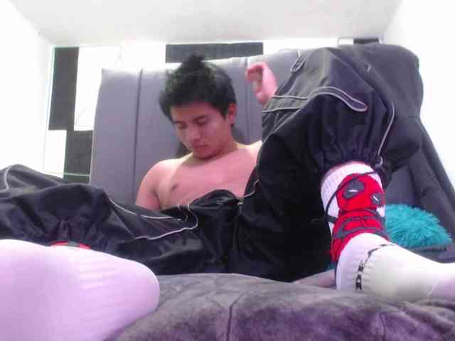 adonislatin19