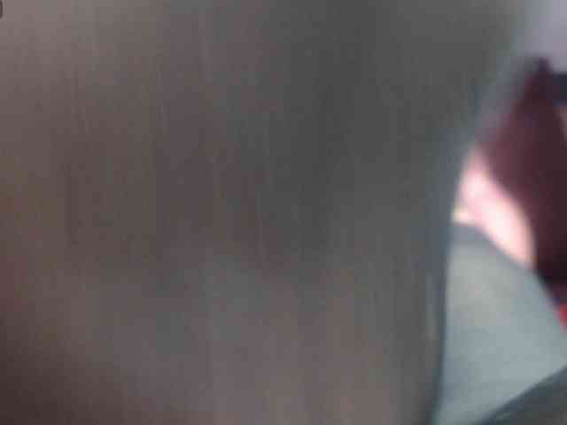 adonislatin19