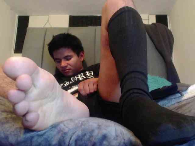 adonislatin19