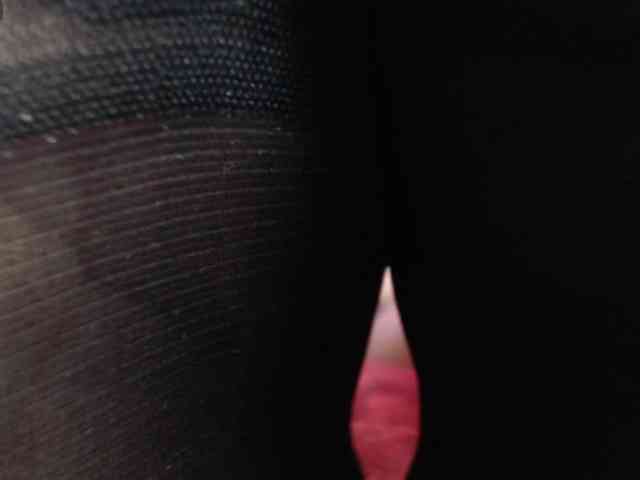 adonislatin19
