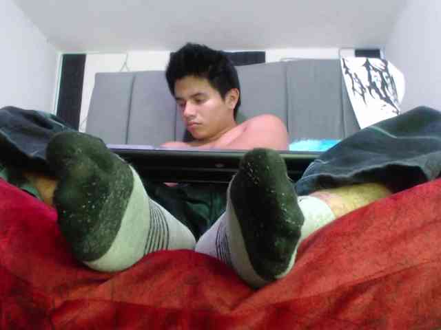 adonislatin19