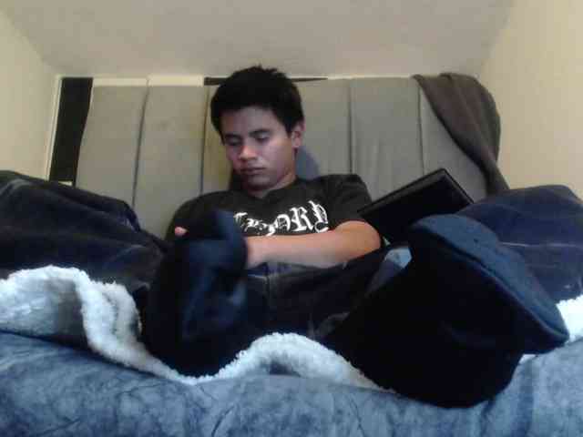adonislatin19