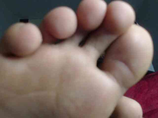 adonislatin19