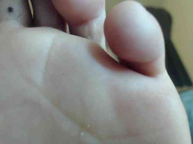 adonislatin19