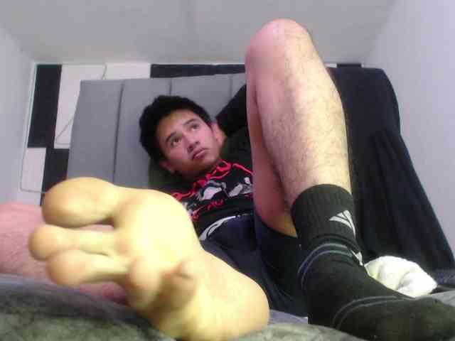 adonislatin19