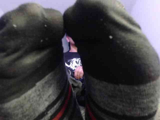 adonislatin19