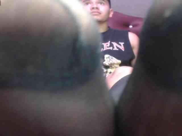 adonislatin19