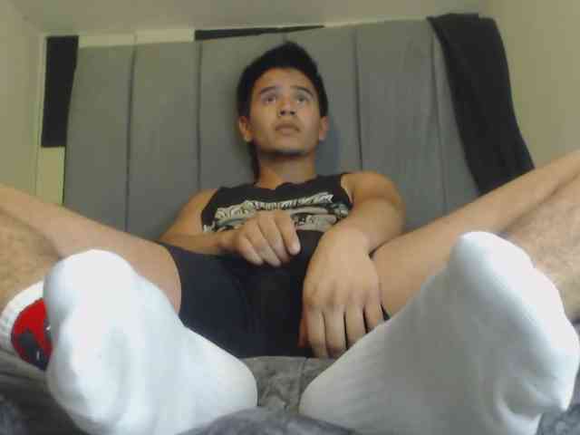 adonislatin19