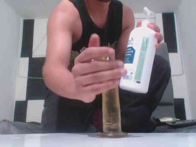adonislatin19
