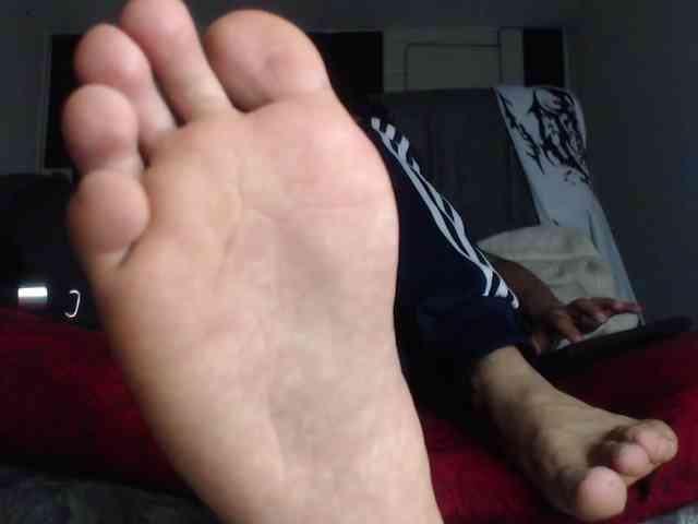 adonislatin19