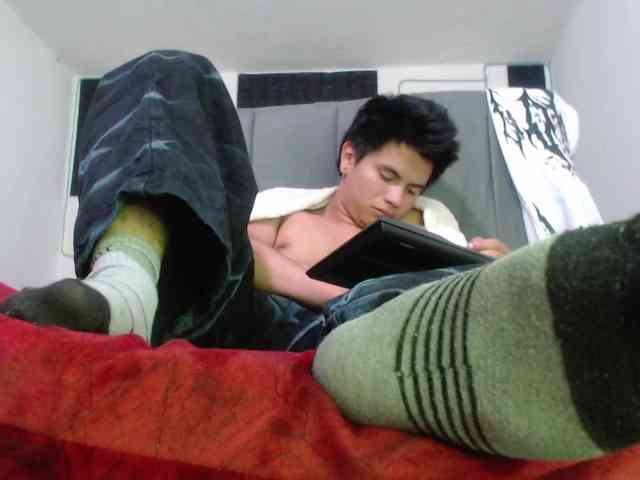 adonislatin19