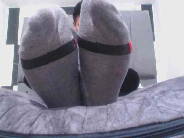adonislatin19