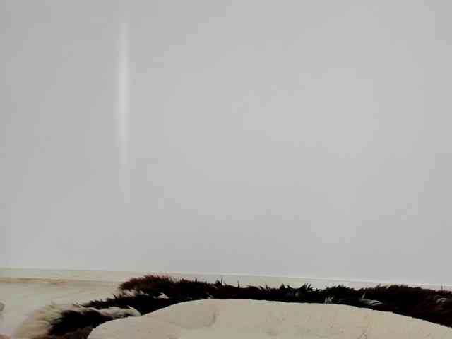 Cimbelka webcam