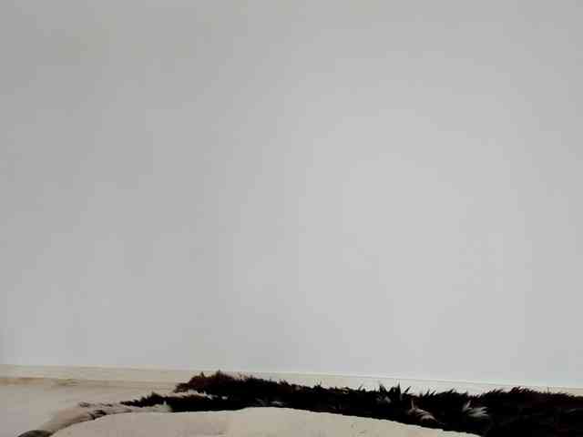Cimbelka webcam