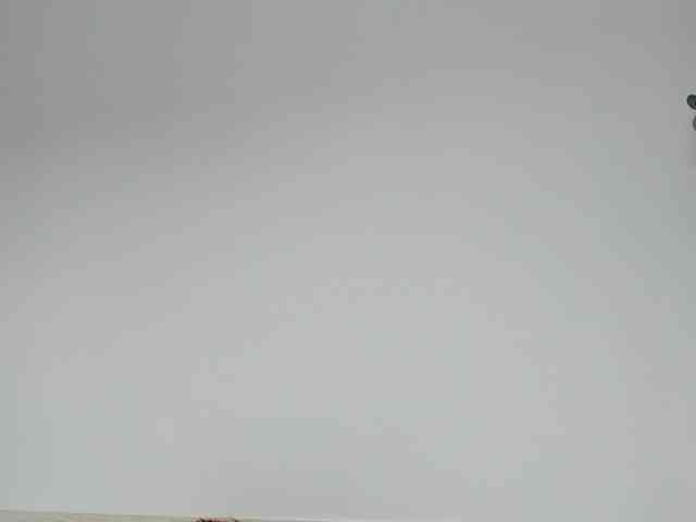 Judit webcam