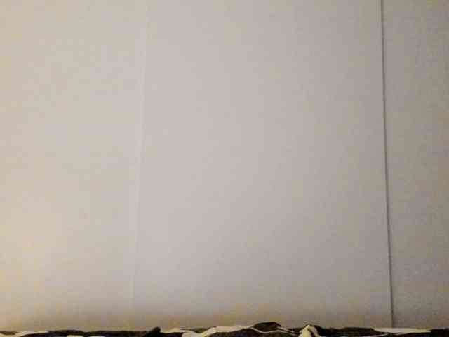 Judit webcam
