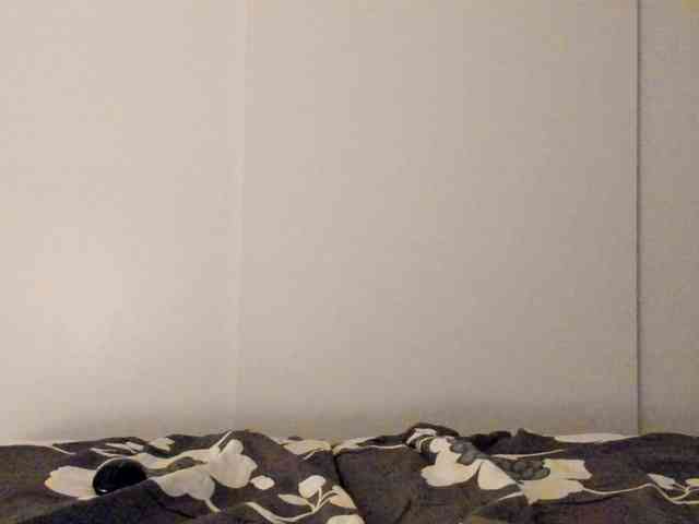 Judit webcam