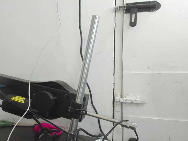 Alessandra-Gold live cam on BongaCams