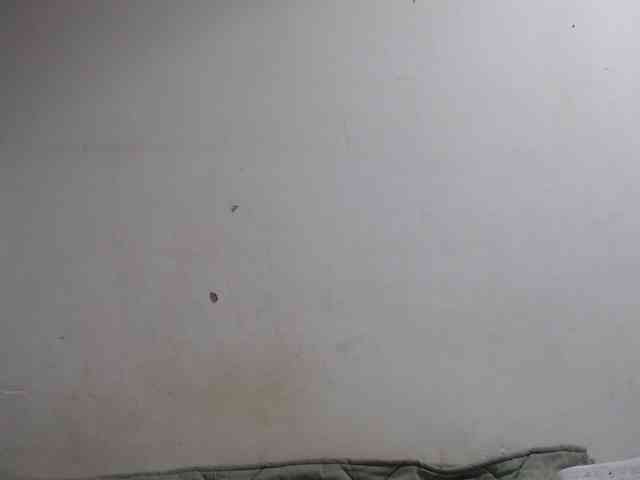 Katiuska_32 webcam