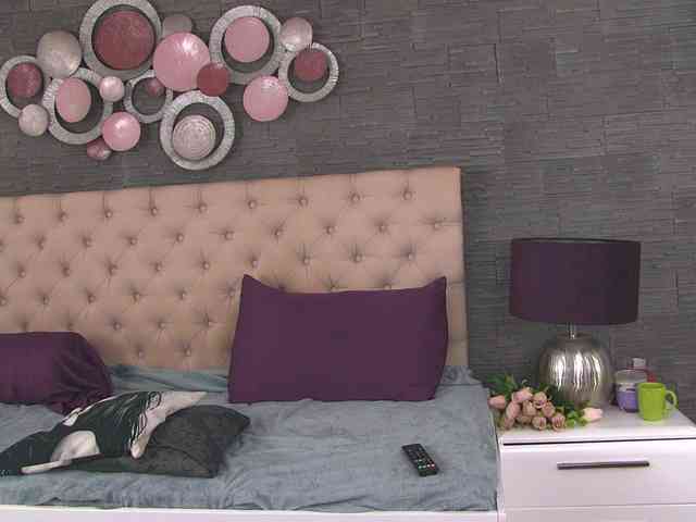 Arya-Joy webcam