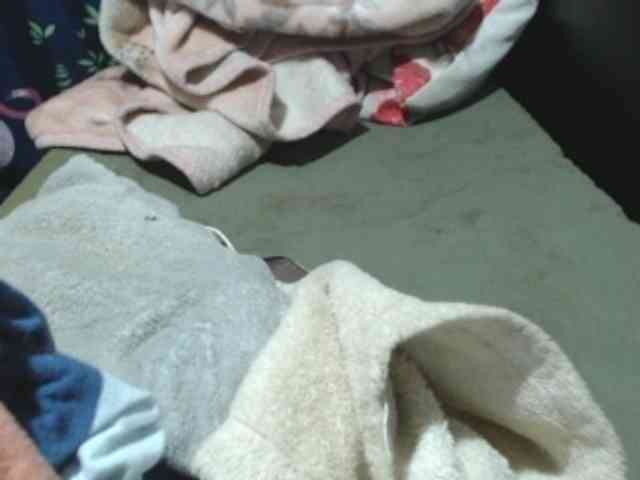 shensie01 webcam