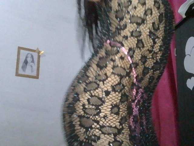 DanielitaDollx live cam preview