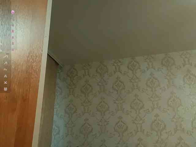 SuzetteTrapeni webcam