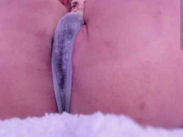 Cataleya-marin webcam