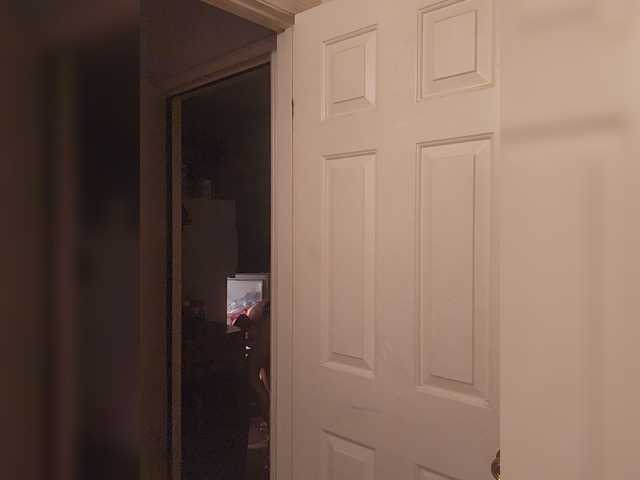 felony000 live cam on BongaCams
