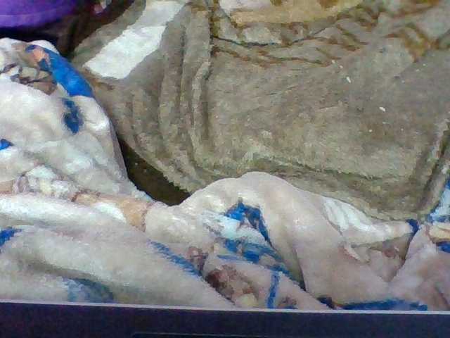 Elyah1a