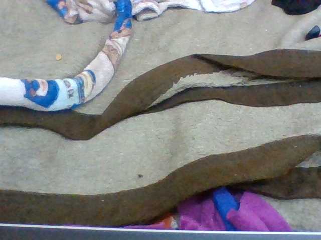 Elyah1a